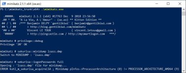 Mimikatz х64 Error.jpg