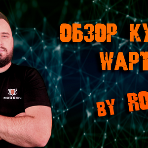 Обзор курса WAPT от ROOK